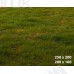 Tło fotograficzne Owoce 3570